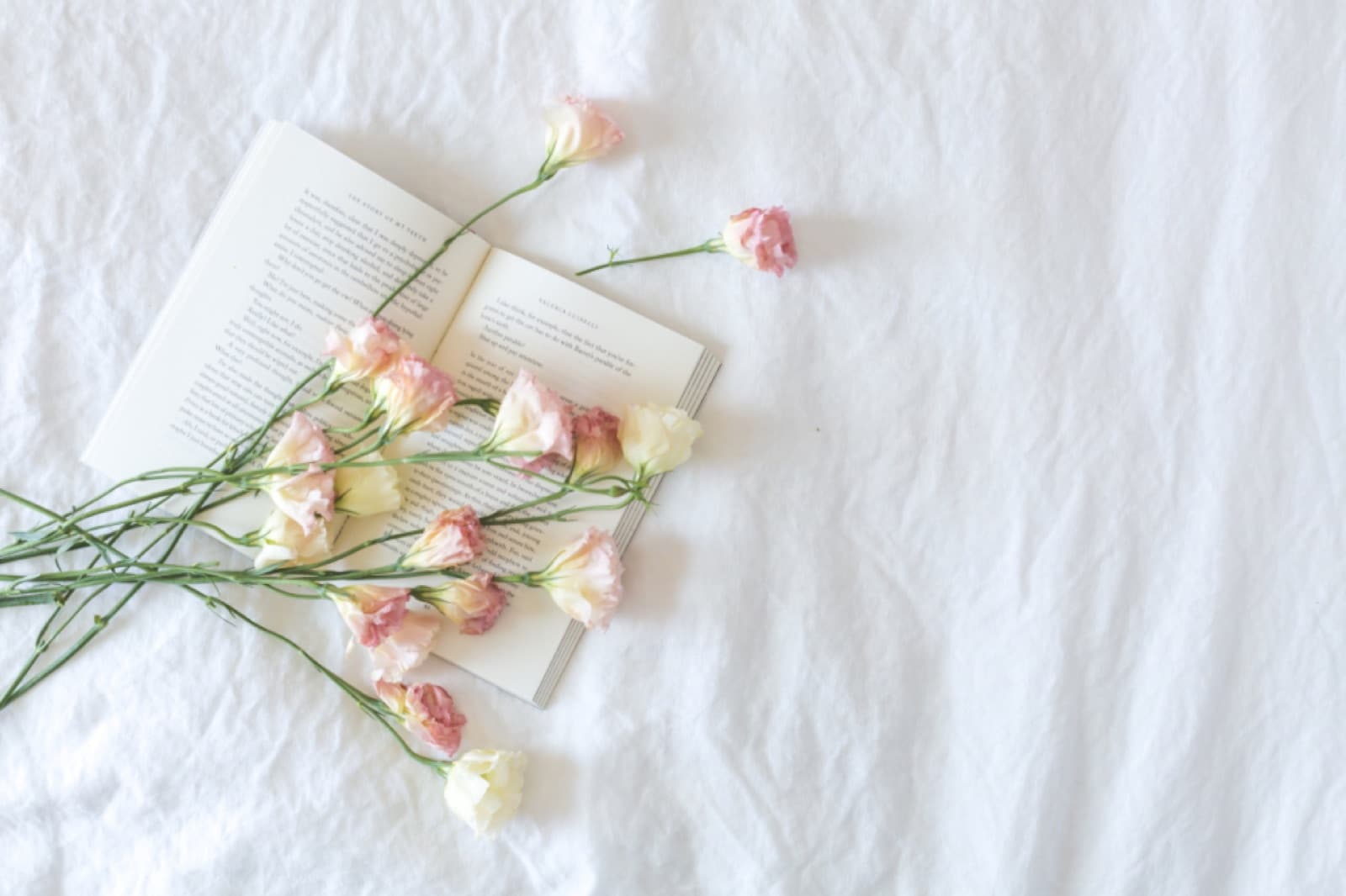 Firmness, honestly: what soft, medium and firm actually mean